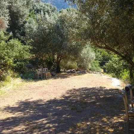 Shiva Camp אתר קמפינג