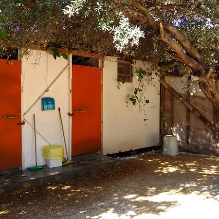 Shiva Camp פאראליה