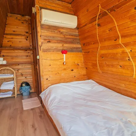 Shiva Camp פאראליה