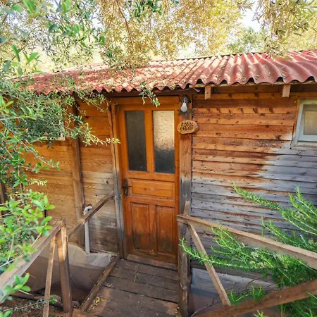 Shiva Camp אתר קמפינג