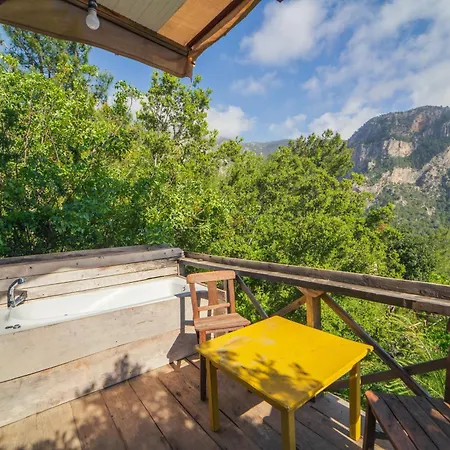 Shiva Camp אתר קמפינג 3*