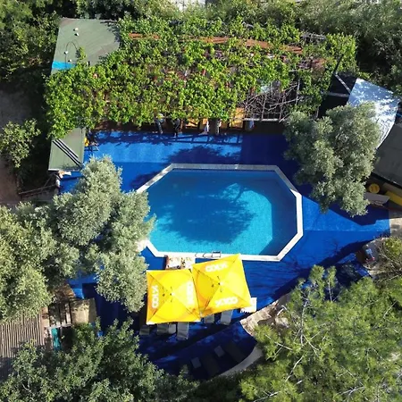 Shiva Camp אתר קמפינג פאראליה