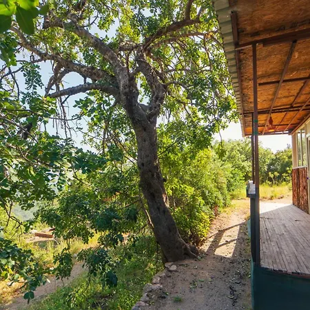 אתר קמפינג Shiva Camp פאראליה