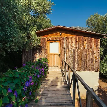 Shiva Camp פאראליה