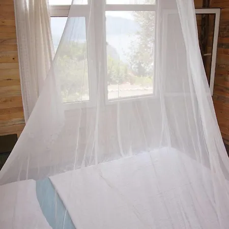 Shiva Camp 3* פאראליה