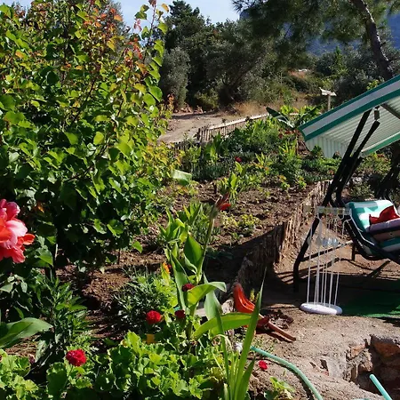 Shiva Camp 3* פאראליה