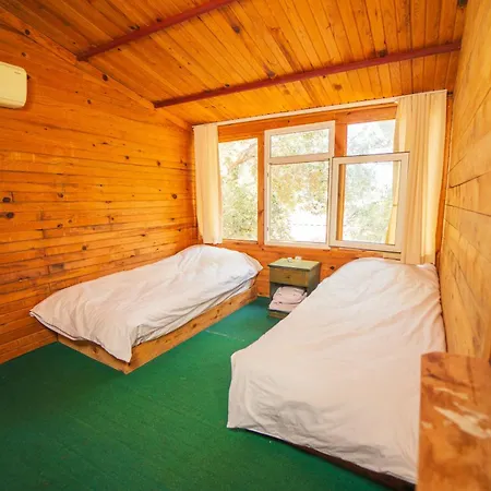 Shiva Camp Kamp alanı Faralya